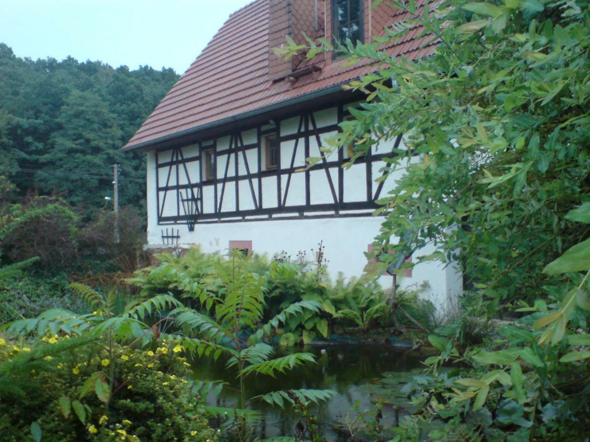 Restaurant & Pension "Bauernhof Zum Silberbergwerk" Limabach - Oberfrohna Kültér fotó